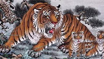 女虎相配屬相最好,女虎配什麼生肖最好