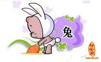 屬兔的本命的桃花運,兔年如何旺桃花運