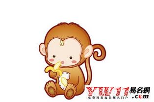 屬猴跟哪個屬相相剋,屬猴的不和什麼屬相和