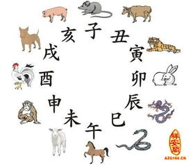 屬相十二生肖順序圖,12生肖的排列