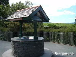 院子水井的風水禁忌,庭院打井的風水禁忌有哪些?