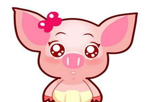 女生屬豬最佳配偶屬相,屬豬女和什麼屬相最配