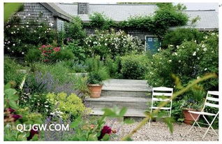 花園風水布局禁忌,小花園布置風水禁忌有哪些