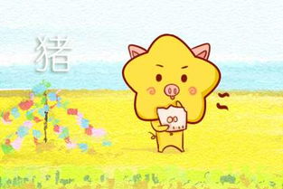 為什麼本命的運氣不好,為什麼本命年運氣不好呢?