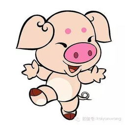 屬相豬的今日運勢,屬豬的今年運勢