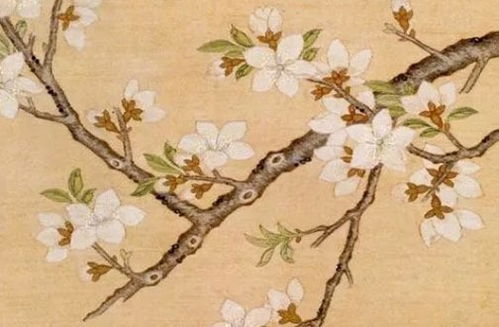 屬虎本命可以戴虎飾品嗎,他們說本命年屬虎的不能戴虎的吊墜,是不是