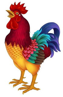 如何旺本命的媽媽,今年是我媽媽本命年我應該怎麼做?