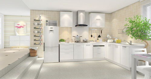 廚櫃對廚房門有什麼風水禁忌,廚房門的風水禁忌,廚房門有什麼風水講究