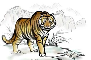 50虎女本命注意什麼,本命年虎年要注意什麼?