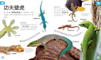 不得命形容什麼動物,李白斗酒詩百篇長安市上酒家眠是形容什麼動物