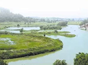 臚是什麼意思,!臚!這個字讀什麼?