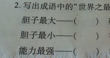 樺的四字成語,描寫花的四字詞語