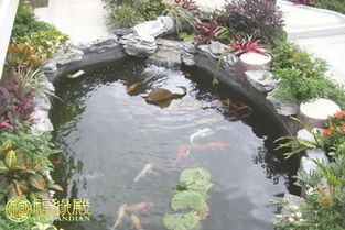 家裡池塘風水禁忌,庭院水池風水都有哪些禁忌?