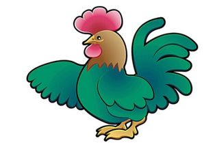 屬雞男和什麼屬相相剋,屬雞的和什麼屬相最配和相剋?