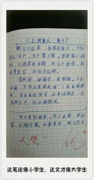 好文采是什麼意思,文採好是什麼意思