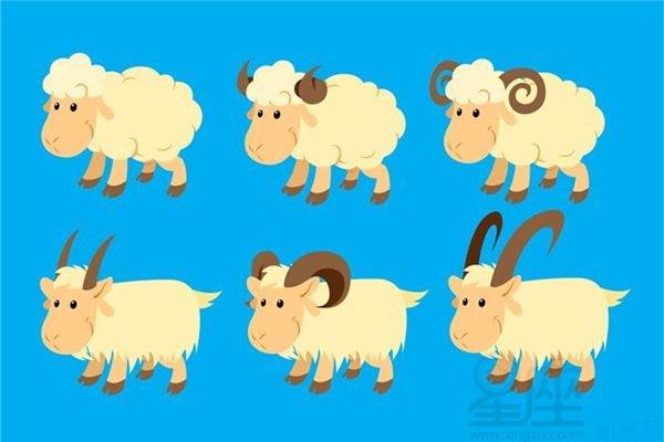 男屬羊十月初十天枰座什麼命,男天平屬羊的人什麼性格