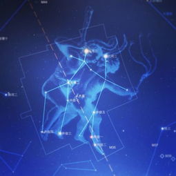 4月8日是什麼星座什麼命,4月8日生日命運,四月八日是什麼星座