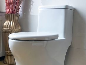 馬桶朝向風水禁忌,馬桶朝向有哪些風水禁忌?