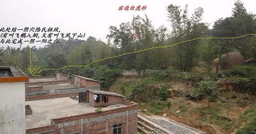 富甲一方風水布局圖,誰能幫我看一下房子的風水擺設布局