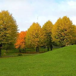 怎樣安慰一個剛失去親人的朋友,怎樣安慰失去親人的朋友