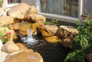 天台假山水池風水禁忌,室內假山魚池風水要注意些什麼