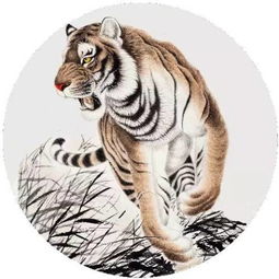 屬虎本命用什麼微信名好,屬虎用什麼微信名好?