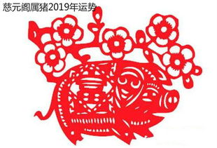 虎本命60歲戴什麼飾物,虎年本命年佩戴什麼好