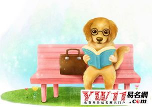 今屬狗的人是什麼命,屬狗人的命運如何