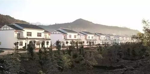 什麼命格的人鎮得住,八字較晚上做夢什麼鎮得住