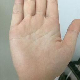 手相說銀杏命是什麼命,什麼樣的手相顯示你具有大富大貴的命