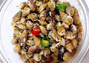 8個螺的男人是什麼命,男人八個螺是什麼意思