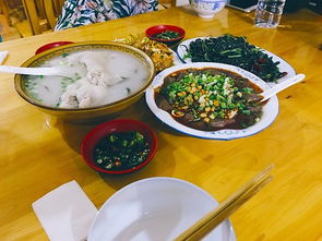 蒼蠅小館子風水布局,用紗網封住院子擋蒼蠅,有什麼風水問題嗎?