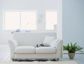 風水之安發財的家裡是怎麼布局的,如何布置發財風水格局