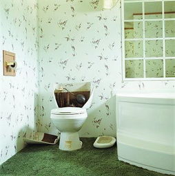 家中廁所門的風水禁忌,廁所門位置有哪些風水禁忌?