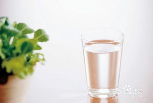 2019風水布局一杯水,一杯水有何風水作用