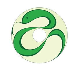 乙巳是哪一是什麼命,清朝乙巳年是哪一年