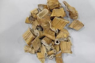 鮮蘆根的功效與作用,鮮蘆根作用都有哪些