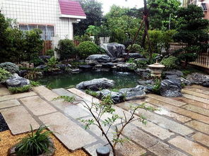 院子里做魚池風水禁忌,魚池風水禁忌有哪些?