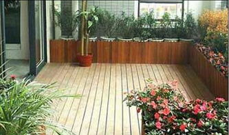 家裡種蒜風水禁忌,家裡種植植物有什麼禁忌