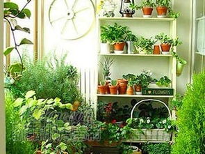 南寧風水十大禁忌,裝修風水知識有哪些?在南寧裝修的話有沒有哪些禁忌?有誰知道的,