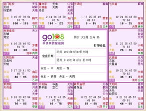 命主武曲身主天同什麼意思,命主武曲身主天同是什麽意思啊?