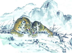 屬虎的可以做什麼工作水命,水命人適合什麼職業