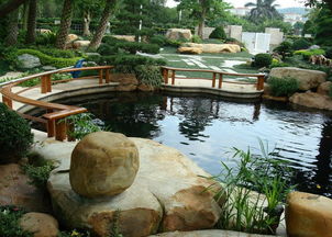 北庭院魚池風水禁忌,庭院魚池要注意什麼風水