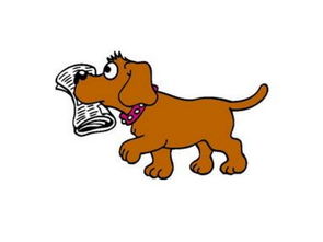 火命屬狗取什麼名字好,火命屬狗94年2月18日下午4點20生名字有什麼字好