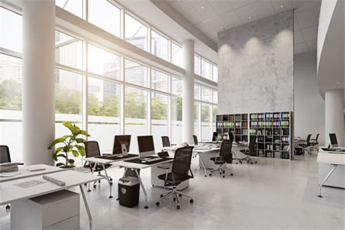 辦公室植物風水禁忌,辦公室擺放植物有什麼風水禁忌