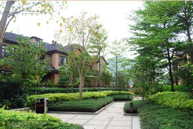 小區家庭風水布局,樓盤風水中的小區樓盤布局禁忌有哪些?