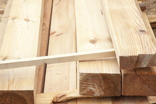 桑松木命適合什麼行業,男1973年7月31日公歷寅時出生的人,五行屬什麼