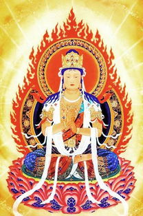 哪裡有不動明王本命佛,不動明王本命佛金店裡有嗎?