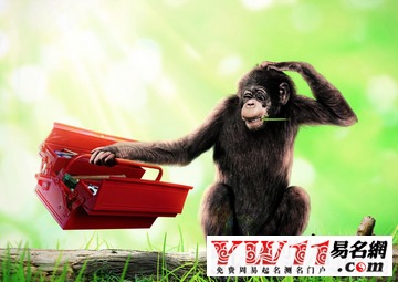 屬猴的最不宜配的屬相,屬猴的與哪些不能相配呢?