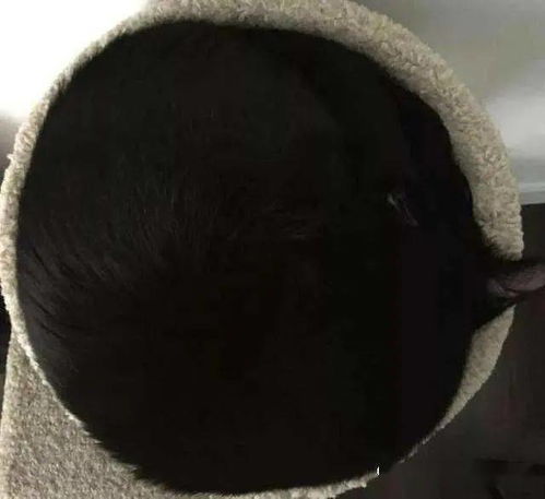 黑貓的寓意及象徵,黑貓在風水上代表什麼?